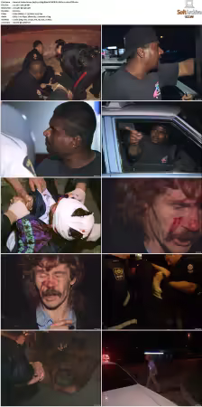 To Serve and Protect aka Under Arrest S01 S08 NF WEB-DL DDP2.0 x264-BTW