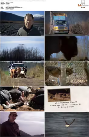 United States of Animals S01 1080p DSNP WEB-DL DDP5.1 H264-Sloth
