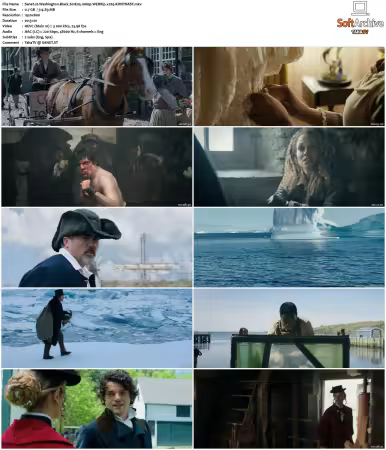 Washington Black S01 1080p WEBRip x265-KONTRAST