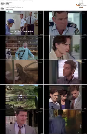 Water Rats S01 S06 WEB-DL AAC2.0 H264-BTN