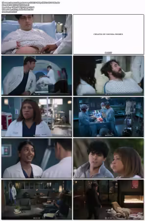 Greys Anatomy S22E13 1080p HEVC x265-POKE
