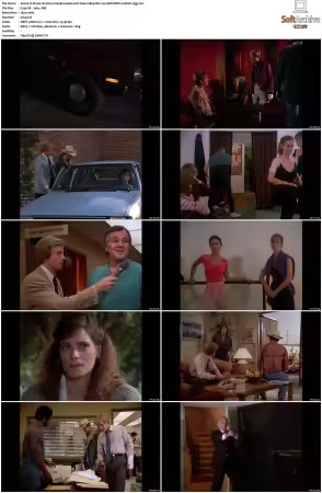 Simon and Simon S01 S08 1080p Blu-ray 10Bit DDP2.0 HEVC-d3g