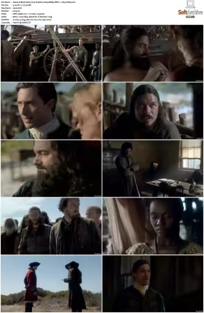 Black Sails 2014 S01-S04 1080p BDRip DDP7.1 x265-Vialle