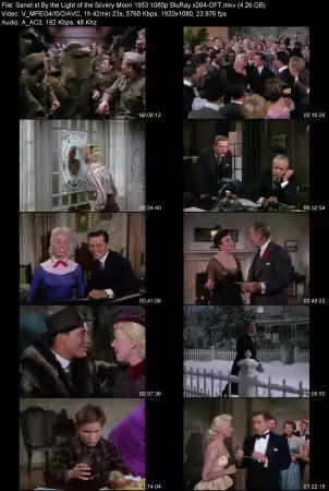 By the Light of the Silvery Moon 1953 1080p BluRay x264-OFT
