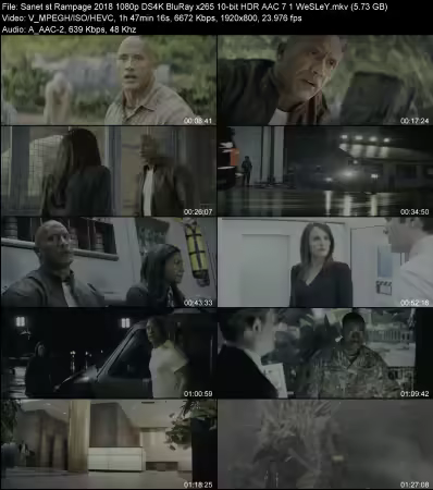 Rampage 2018 1080p DS4K BluRay x265 10-bit HDR AAC 7.1 WeSLeY