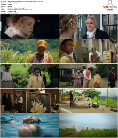 Washington Black S01 1080p WEBRip x265-KONTRAST