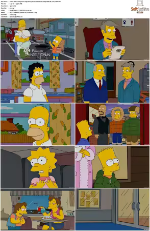 The Simpsons S19 1080p Web-DL x264-OFT