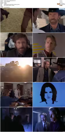 Walker Texas Ranger S01 S09 DVDRip XviD-Mixed