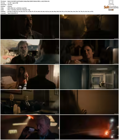 Goliath 2016 S01 S04 1080p DS4K AMZN Webrip DDP5.1 x265-Vialle