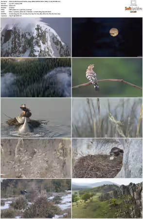 Wild Romania S01 2160p HMAX WEB-DL HEVC DDP5.1 H265-SPWEB