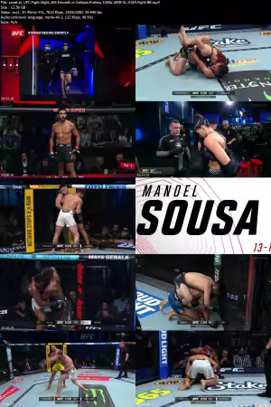 UFC Fight Night 269 Emmett vs Vallejos Prelims 1080p WEB-DL H264 Fight-BB