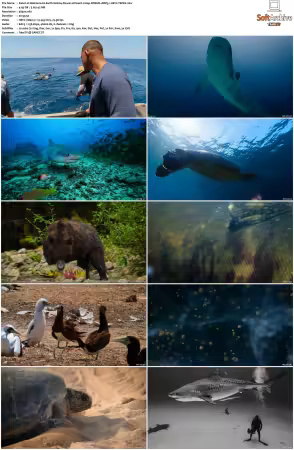 Welcome to Earth S01 2160p WEB-DL DDP5.1 HEVC-TEPES