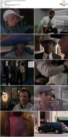 Walker Texas Ranger S01-S09 DVDRip XviD-Mixed