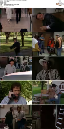 Walker Texas Ranger S01-S09 DVDRip XviD-Mixed
