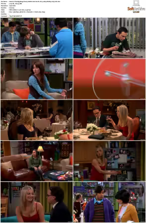 The Big Bang Theory S01-S12 German DL AC3 1080p BluRay x265-FuN