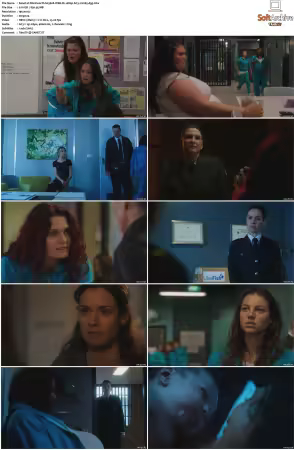 Wentworth S01 S09 1080p WEB h265-d3g