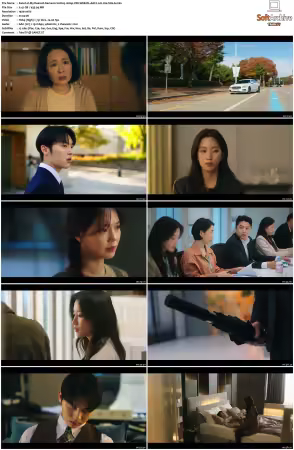 My Dearest Nemesis S01 1080p VIKI WEB-DL AAC2.0 H264-SiGLA