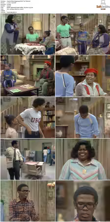 Whats Happening S01-S03 DVDRip XviD-NGP