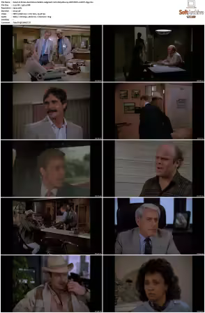 Simon and Simon S01-S08 1080p Blu-ray 10Bit DDP2.0 HEVC-d3g