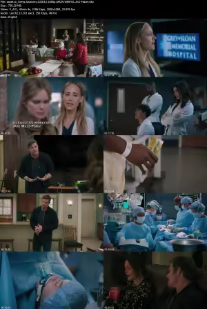 Greys Anatomy S22E12 1080p AMZN WEB-DL AV1-Maze