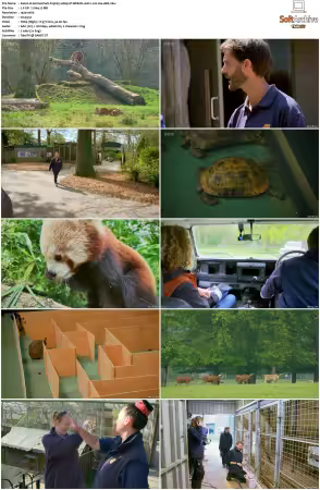 Animal Park S25 1080p iP WEB-DL AAC2.0 H264-AEK
