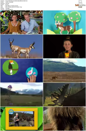 Weird But True S01 S03 1080p WEB H264-S
