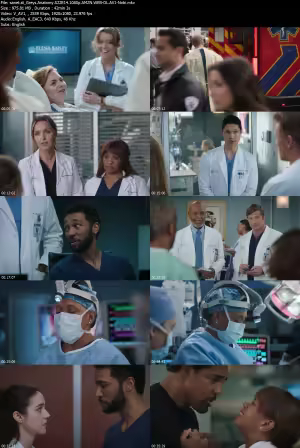 Greys Anatomy S22E14 1080p AMZN WEB-DL AV1-Nobi