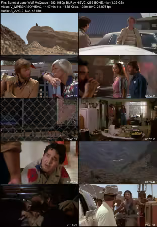 Lone Wolf McQuade 1983 1080p BluRay HEVC x265 BONE