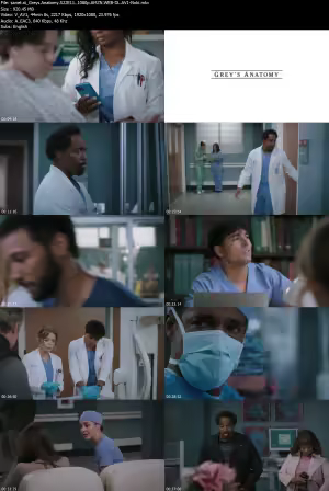 Greys Anatomy S22E11 1080p AMZN WEB-DL AV1-Nobi