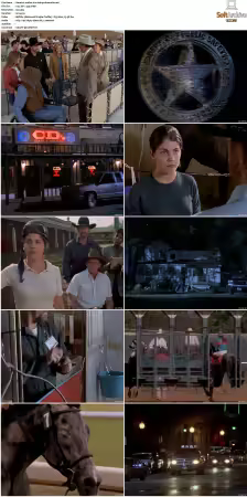 Walker Texas Ranger S01-S09 DVDRip XviD-Mixed