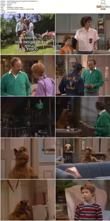 Alf S01 German DL 1080p MiXED x264-TVNATiON