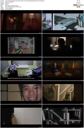 Who Killed Robert Wone S01 2160p PCOK WEB-DL DDP5.1 H265-WDYM