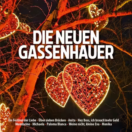 VA - Die neuen Gassenhauer (2026)