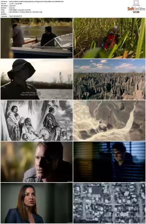 What on Earth S01-S09 1080p WEB x264-SCENE