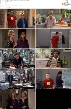 The Big Bang Theory S01-S12 German DL AC3 1080p BluRay x265-FuN