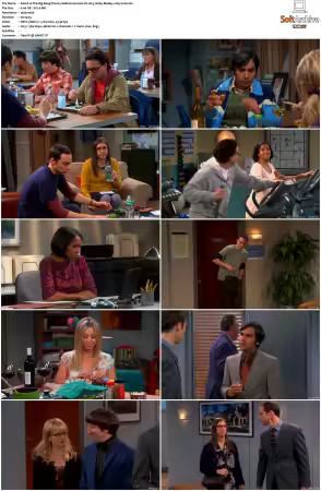 The Big Bang Theory S01-S12 German DL AC3 1080p BluRay x265-FuN