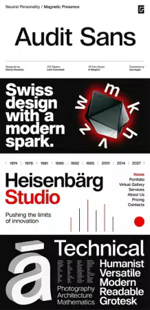 Audit Sans Font Family $197