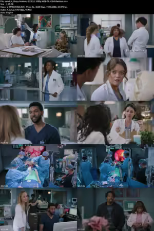 Greys Anatomy S22E11 1080p WEB-DL H264-Bamboo