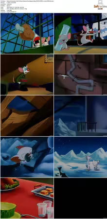 Animaniacs 1993 S01-S05 1080p UPSCALED DD 5.1 x265-EDGE2020
