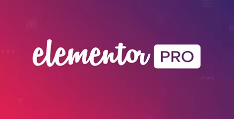 Elementor Pro v4.0.4 - The Most Advanced Website Builder Plugin - NULLED
