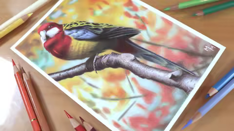 Drawing A Bird With 12 Colors
