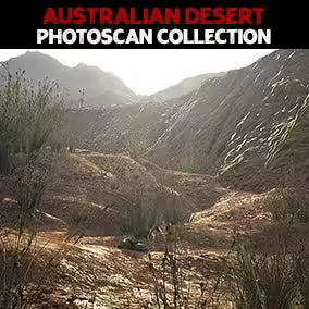 Unreal Engine Asset - Australian Desert Photoscan Collection (5.3 - 5.7)