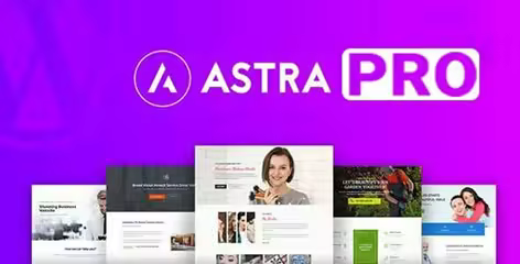 Astra Pro Addon v4.12.5 – Perfect Theme For Any Website