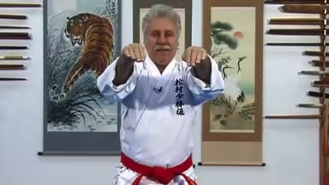 Okinawan White Crane Karate - Speed And Evasion Vol. 2
