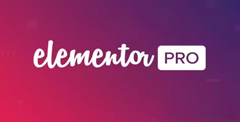 Elementor Pro v4.0.1 - The Most Advanced Website Builder Plugin - NULLED