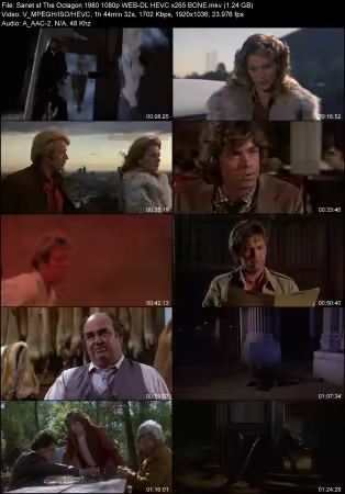 The Octagon 1980 1080p WEB-DL HEVC x265 BONE