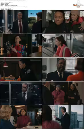 Elsbeth S02 MULTi 1080p WEB H264-FW