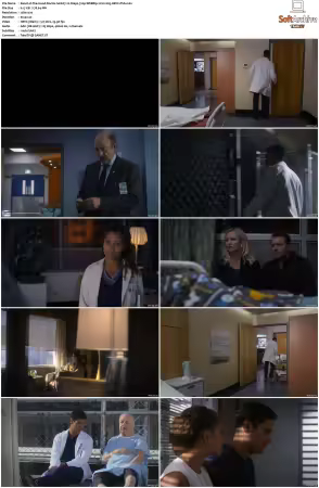 The Good Doctor S01 S07 720p WEBRip 2CH x265 HEVC-PSA
