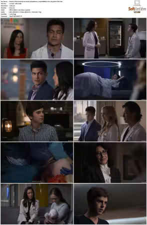 The Good Doctor S01 S07 720p WEBRip 2CH x265 HEVC-PSA