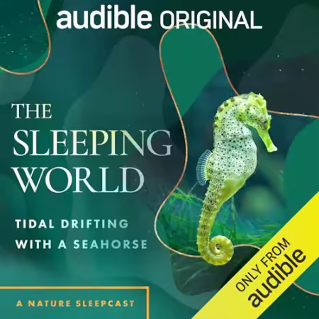 The Sleeping World: Tidal Drifting with a Seahorse[Audiobook]